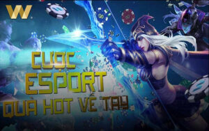 Giới Thiệu Chung Về Cá Cược Thể Thao Điện Tử Esport